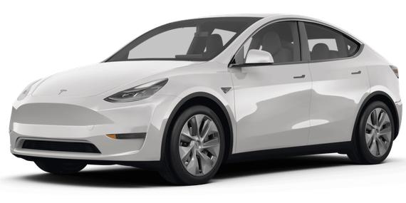TESLA MODEL Y 2024 7SAYGDEE7RF048932 image